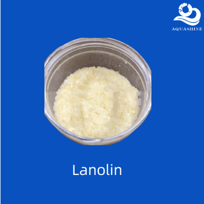 Pharmaceutical Grade Lanolin Used as Base for Ointment