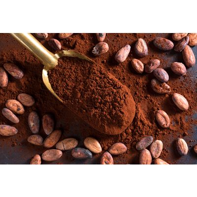 High quality Pure organic instant Natural Cocoa powder