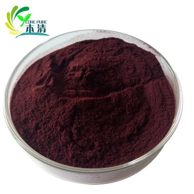 Supply high quality Black Elderberry Extract 25% Anthocyanidins