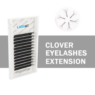 W V Y Shape Volume Eyelash Extension Individual False Eyelashes W Lash 3d 4d 5d Clover Lashes