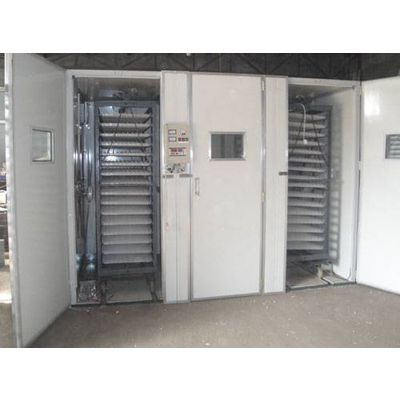 poultry incubator hatcher