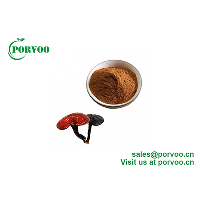 Top Quality Polysaccharides Organic Reishi Mushroom Extract