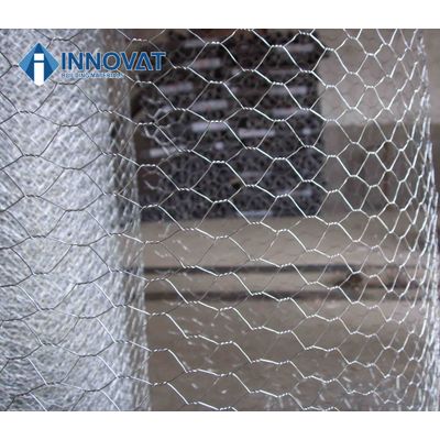 Galvanized Hexagonal Iron Wire Mesh Netting