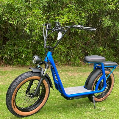 Double Seats 48V 1000W Electric Bicycle Scooter