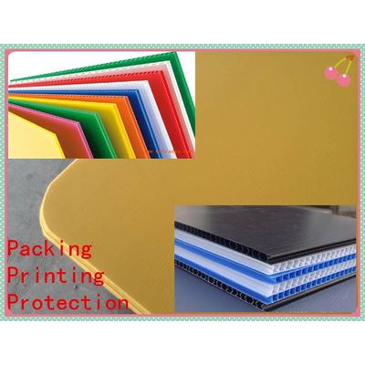 Corrugated plastic sheet,Coroplast,Correx,Corflute sheet