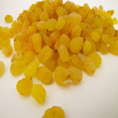 Golden Raisin from Iran, Top Quality