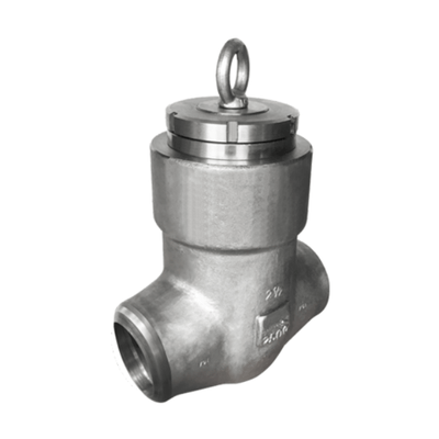 ASTM A182 F316 Swing Check Valve