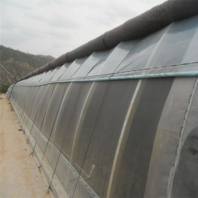 Winter Quilt Warm Single-span Greenhouse Hydroponic Passive Solar Greenhouse
