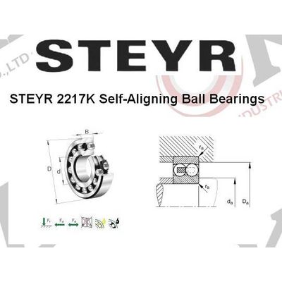 STEYR 2217K Self-Aligning Ball Bearings