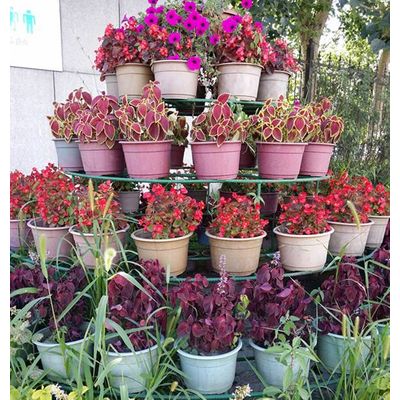 Eco-friendly Recyclable Natural Fiber Flower Pot - Changchun Bochao ...