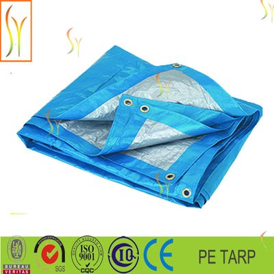 Tarpaulin Pe plastic sheet from china supplier
