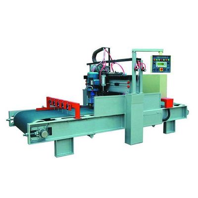 Full automatic litchi surface stone processing machine