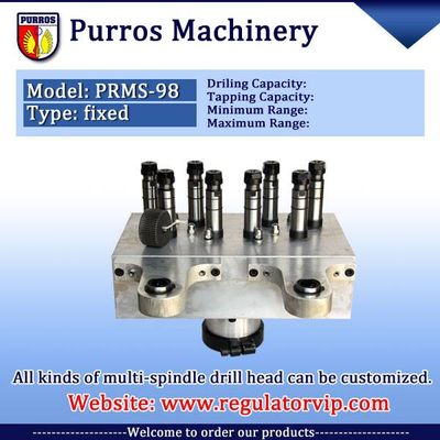 Multiple Spindle Drilling & Tapping Heads, PURROS PRMS-98 - Taizhou ...