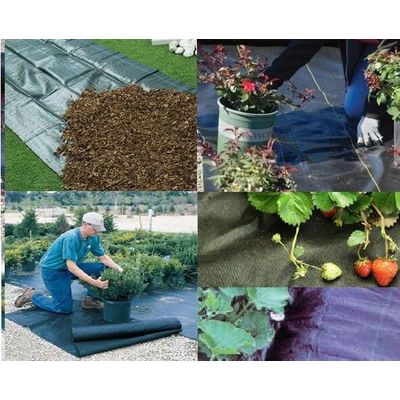 1-6 Metere width black color plastic pp anti weed mats supplier with best price by sincere factory