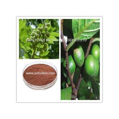 pygeum africanum bark extract powder,pygeum africanum bark extract,pygeum bark p.e