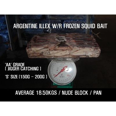 Argentinus Illex W/R Frozen Squid Bait