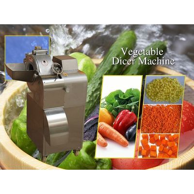Vegetable Dicing Machine