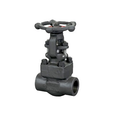 Forged or cast Globe Valve