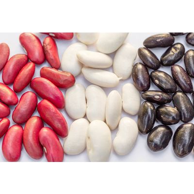 Red Speckled kidney Beans,White Kidney Beans,Black Kidney Beans,Dark Red Kidney Beans