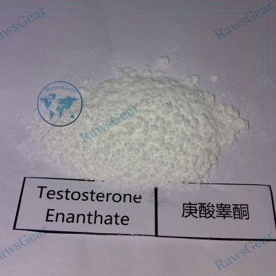 Testosterone enanthate raw powder TEST E CAS 315-37-7