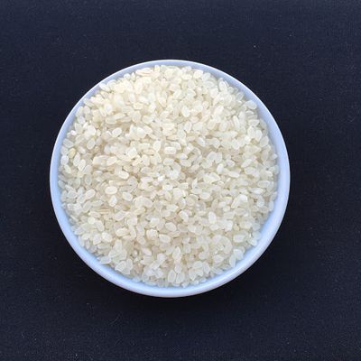 Round Rice Japonica Rice Fragrant Flavor Sweet Taste Vietnam Japonica ...