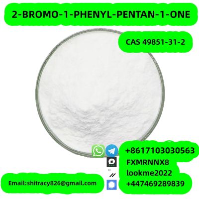 2-BROMO-1-PHENYL-PENTAN-1-ONE powder china factory supplier