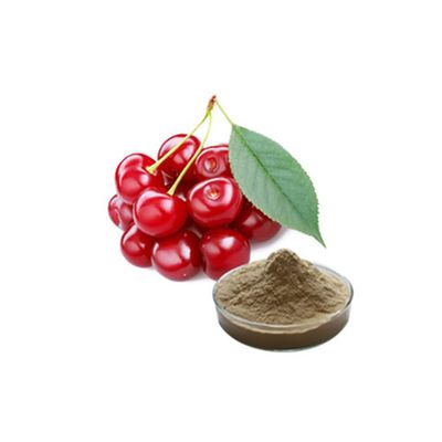 China Manufacturer Halal Organic Acerola Cherry Extract Powder