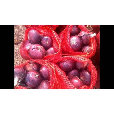 Red Onions (shorbagy foods)