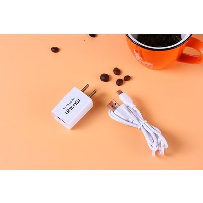 mobile phone charger