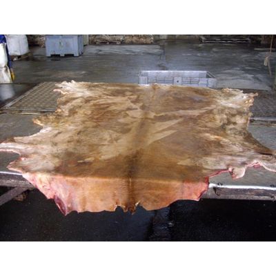 Donkey and wet salted cow hides available for sale