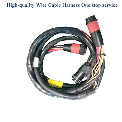 Custom Wire Harness and Cable Assembly