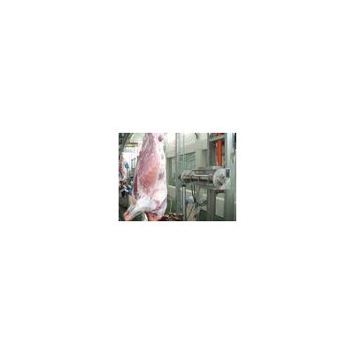 Meat processing machinery
