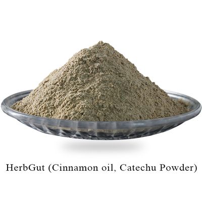HerbGut Feed Additives Cinnamon Oil and Catechu Powder No Diarrhea for Poultry Acacia Catechu