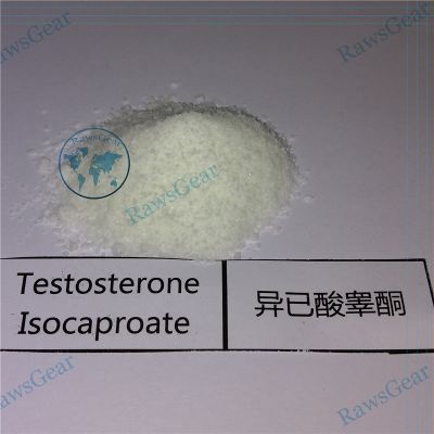 Testosterone Isocaproate Raw Powder CAS 15262-86-9