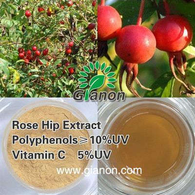 Rose hip Extract Natrual Vitamin C 3.5%