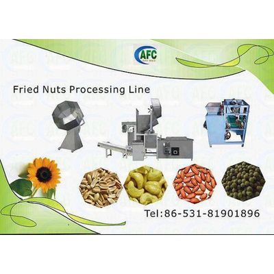 Fried Peanuts Processing Line