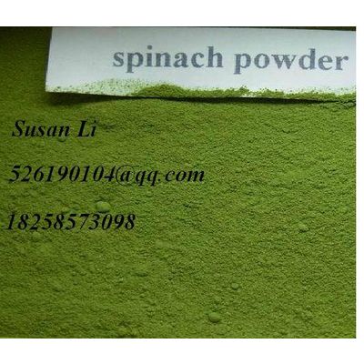 Purest 80-200 Mesh Spinach Powder Raw Food Ingredient