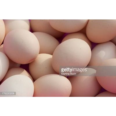 hatching duck eggs