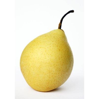 2023 Chinese New Crop Fresh Pear in Sale Season