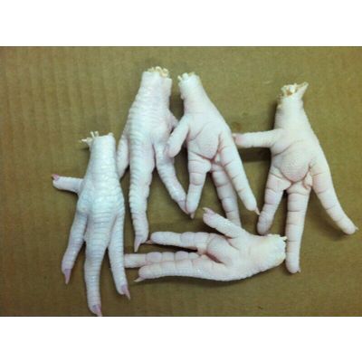 Grade A Processed Frozen Chicken Paws For Sale
