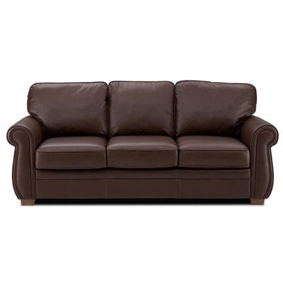 Leather Sofa Sleeper