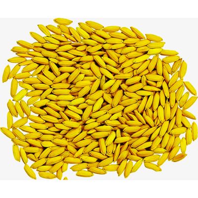 Rice Bran Extract/High quality Rice Bran Extract Powder Ferulic Acid 98%