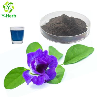 High Quality Water Soluble Butterfly Pea Powder