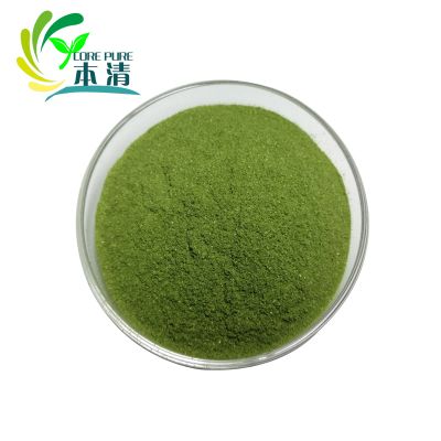 Supply 100% natural Barley grass powder for health care product