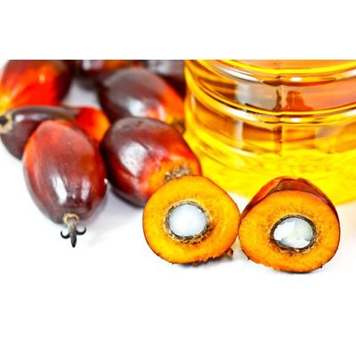 Grade A Crude Red Palm Oil and Refined Palm Oil