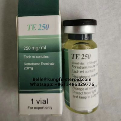 TE 250mg Testosterone Enanthate CAS:315-37-7 Finished Steroid Oil