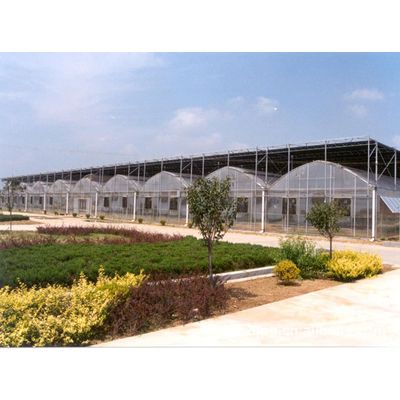 Clear Plastic Film Multi Span Agricultural Greenhouse for Planting