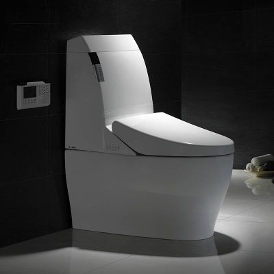 Bathroom ceramic floor mounted smart toilet