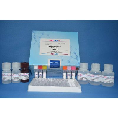 Ammonia Assay Kit - REAGEN LLC