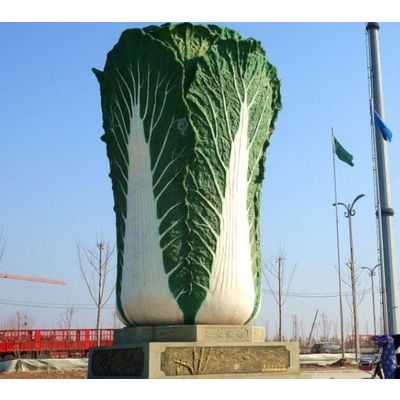 Chinese fresh vegetable Chinese cabbages supplier and exporter